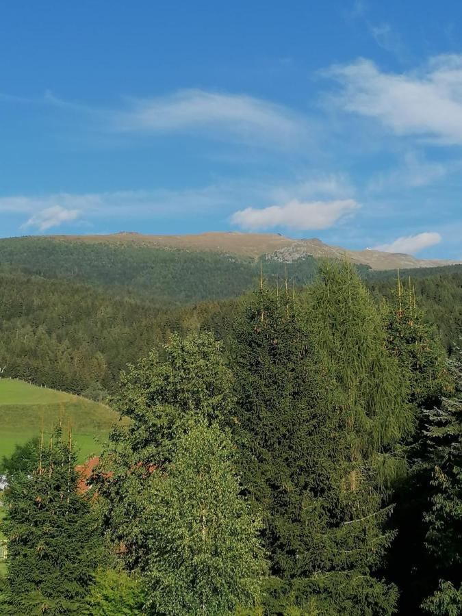 Ferienwohnung Familie Pichler Neumarkt in Steiermark Extérieur photo