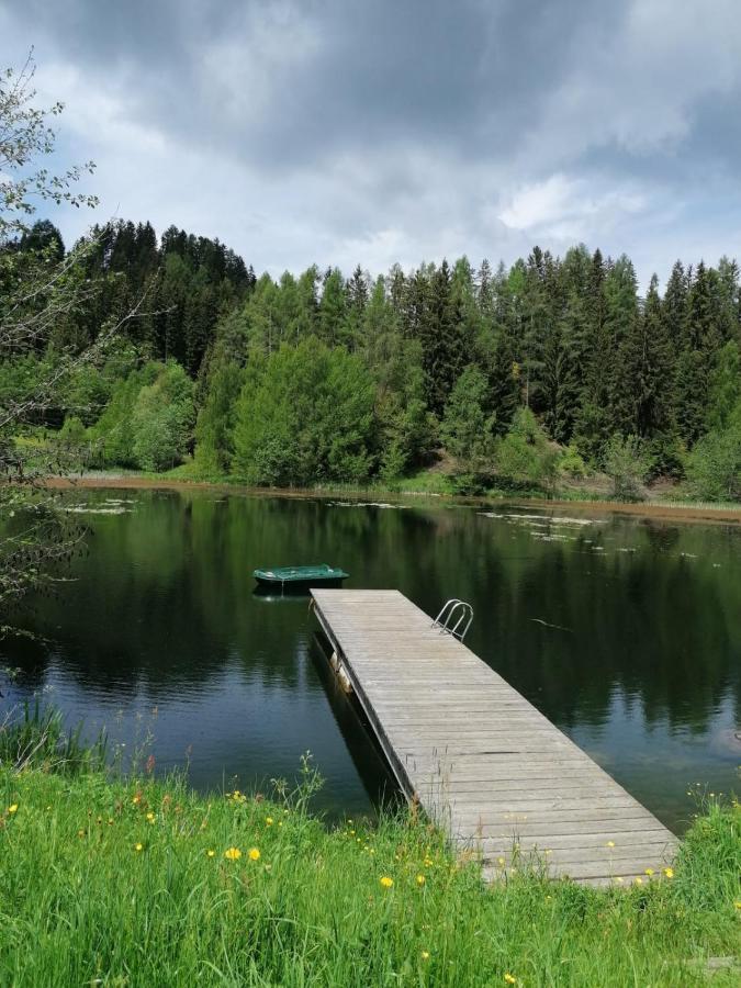 Ferienwohnung Familie Pichler Neumarkt in Steiermark Extérieur photo