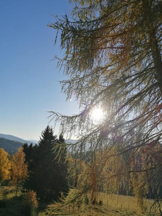Ferienwohnung Familie Pichler Neumarkt in Steiermark Extérieur photo