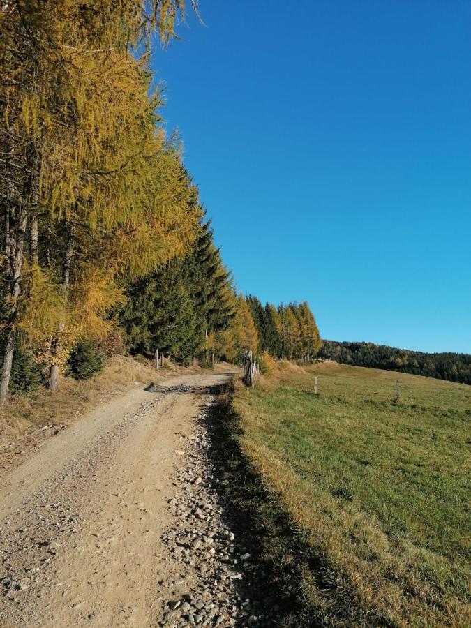 Ferienwohnung Familie Pichler Neumarkt in Steiermark Extérieur photo